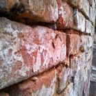 The bricks wall