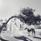 The bride & the dog...