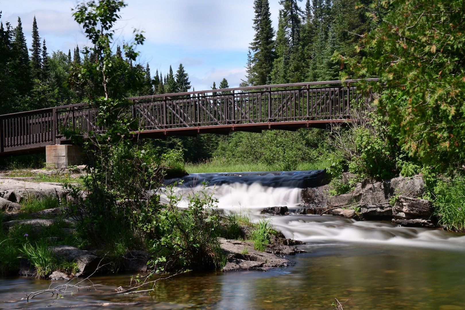 The Bridge