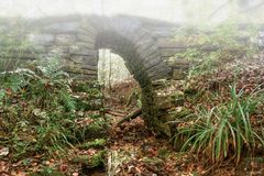 The Bridge