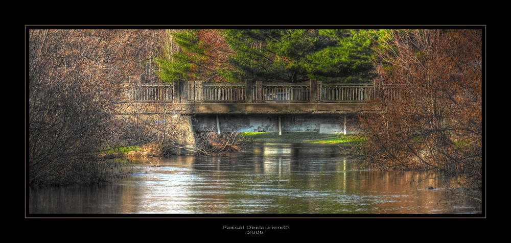 The Bridge