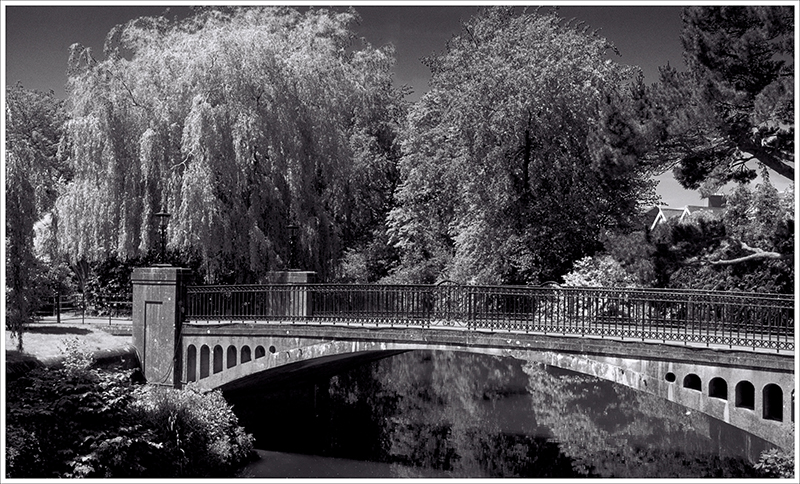 The Bridge and the River