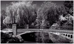 The Bridge and the River