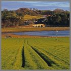 the bridge at alnmouth