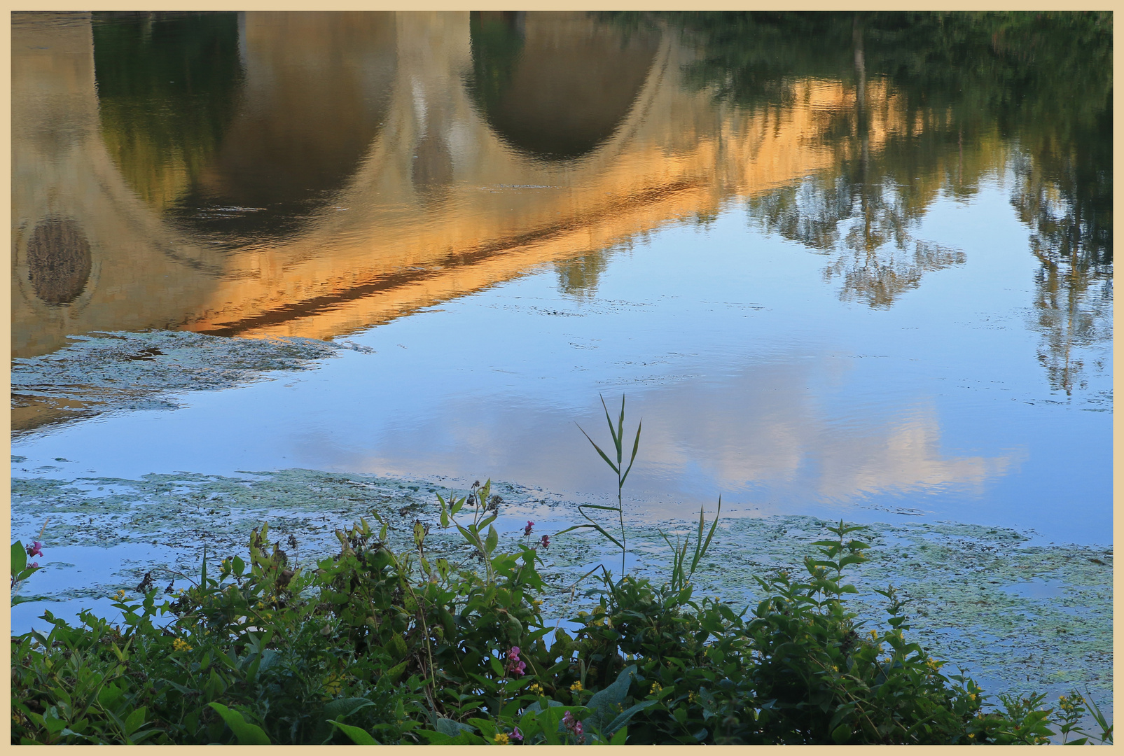 the bridge at Coldstream 5