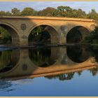 the bridge at Coldstream 9