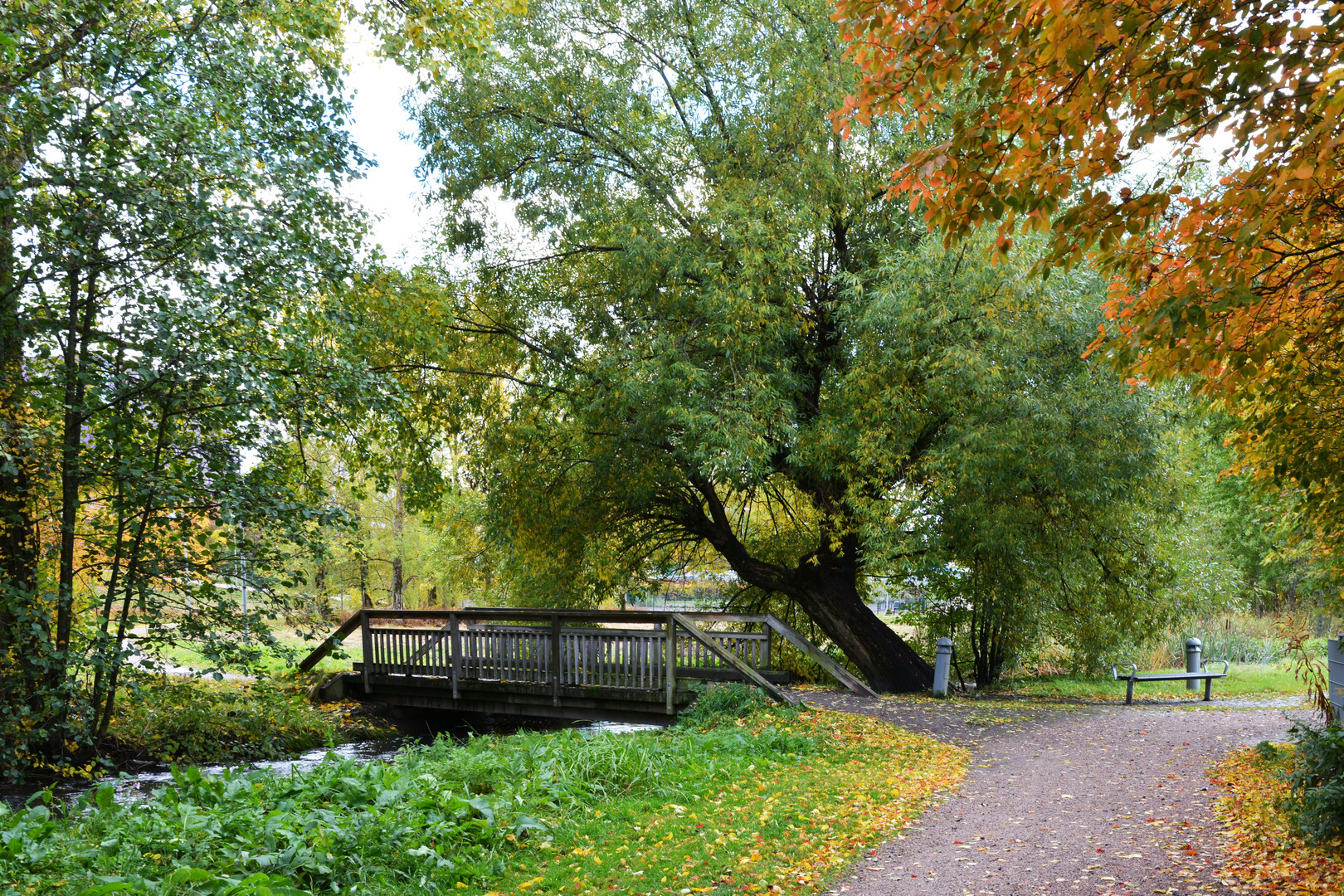 The bridge, bench, tree and the avenue