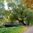 The bridge, bench, tree and the avenue