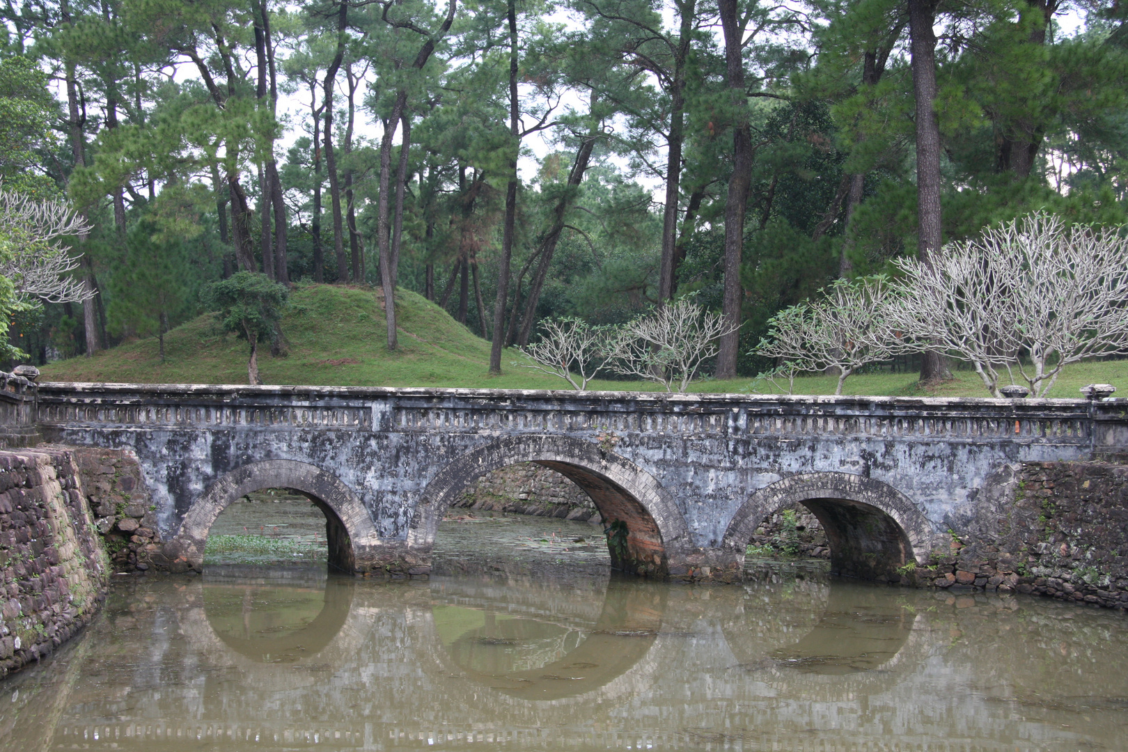 The Bridge ...