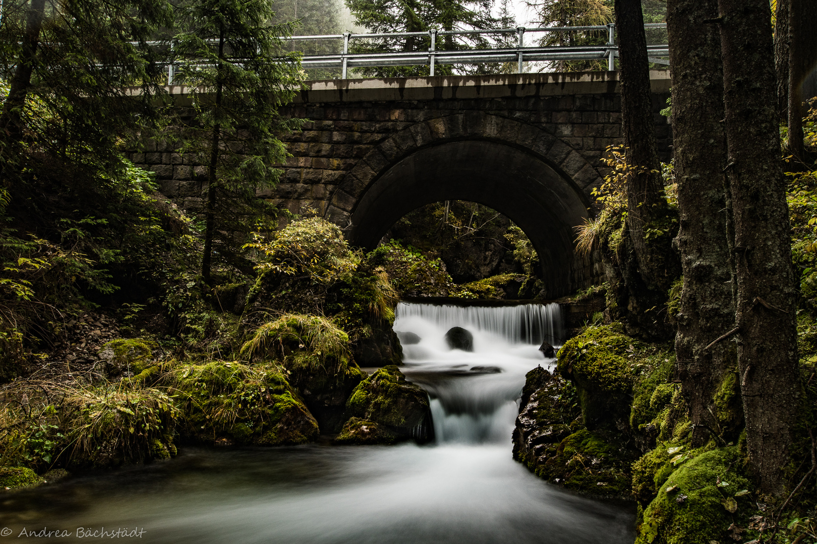 the bridge