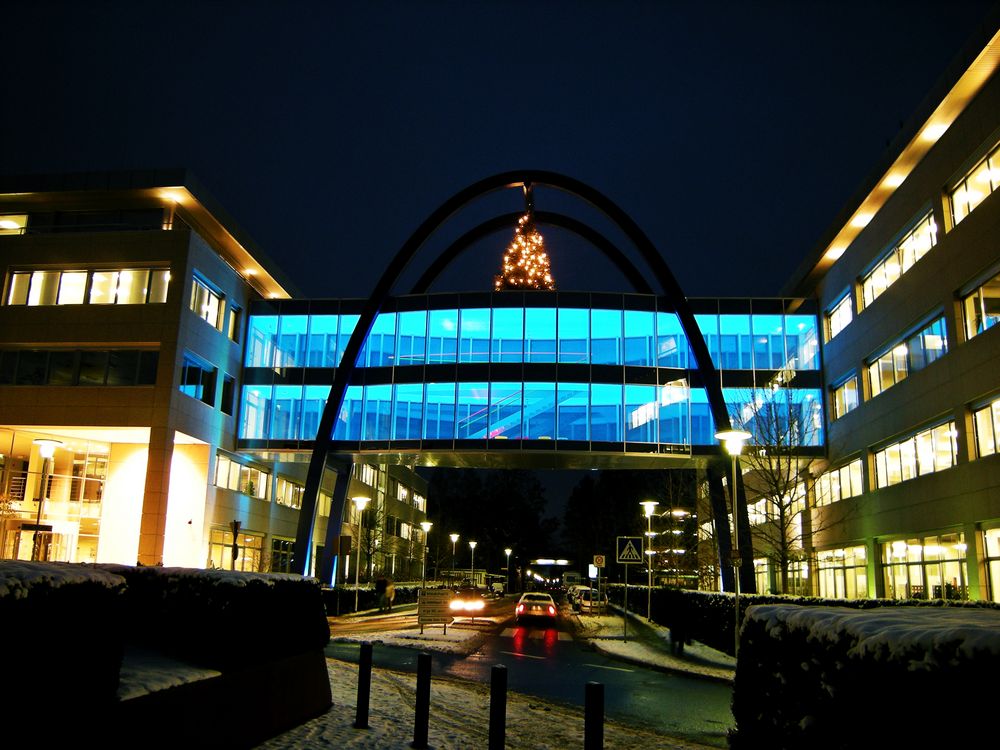 The Bridge in Blue