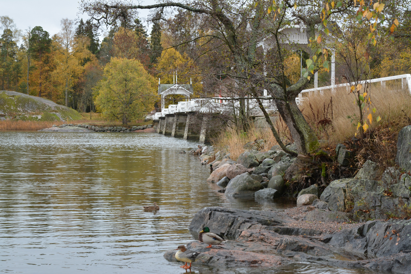 The bridge of Seurasaari