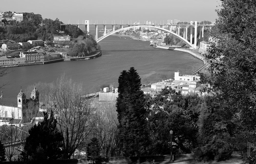 The Bridge of the Arrábida