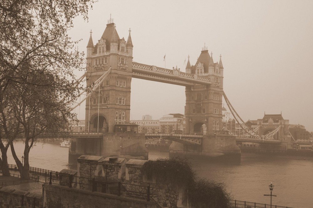 The bridge of the tower from the tower