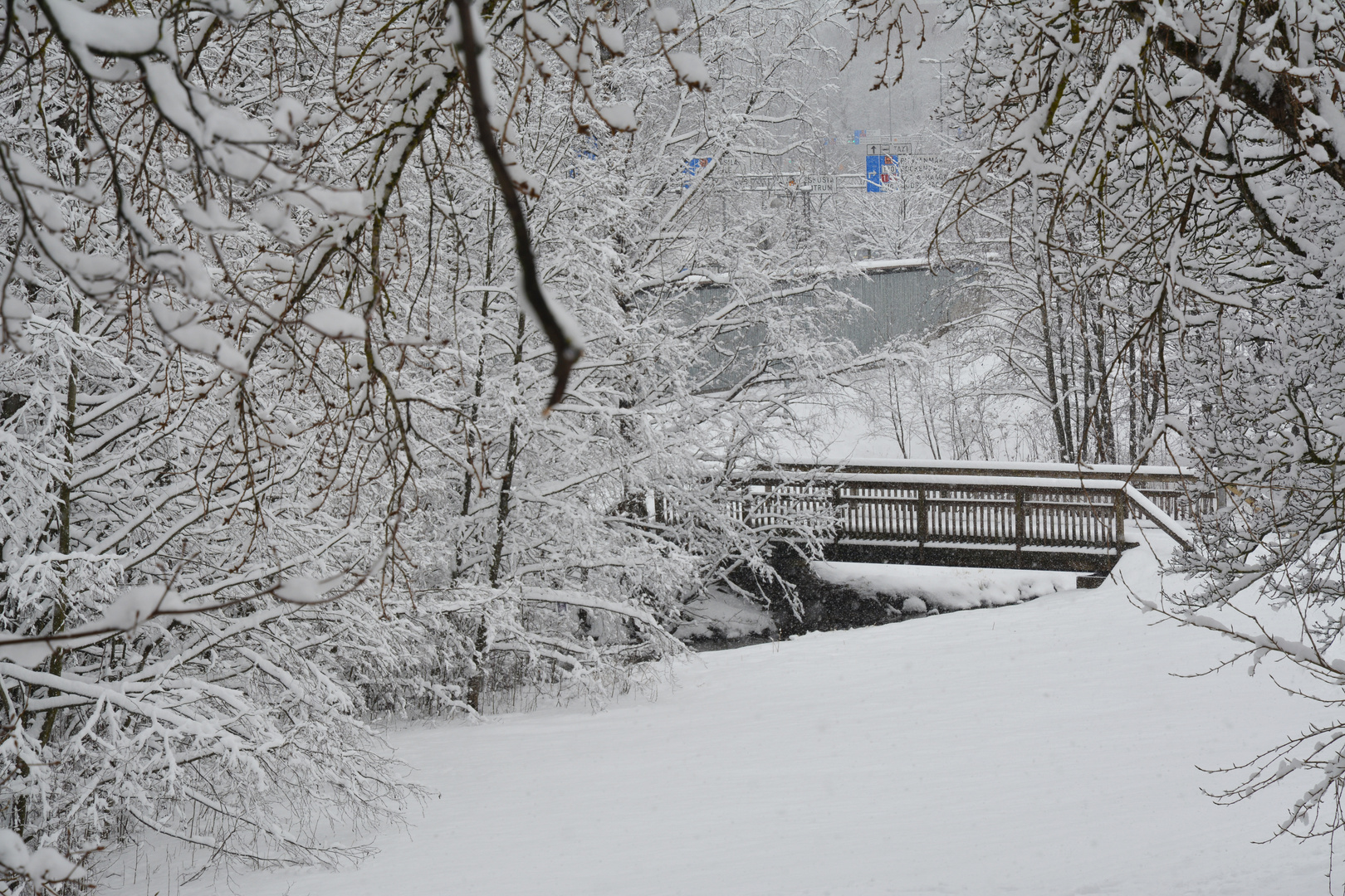 The bridge on Haaga park