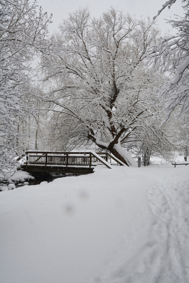 The bridge over Haaga brook