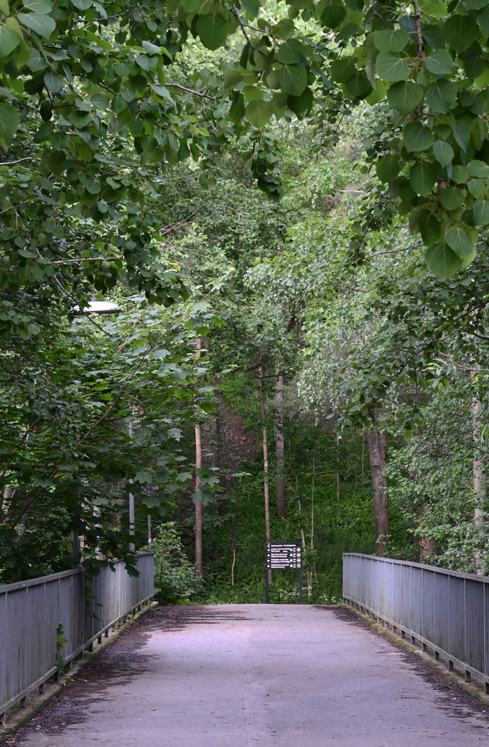 The bridge over motorway to nature