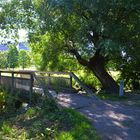 The bridge over The brook