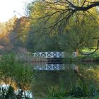 The bridge over the calm water