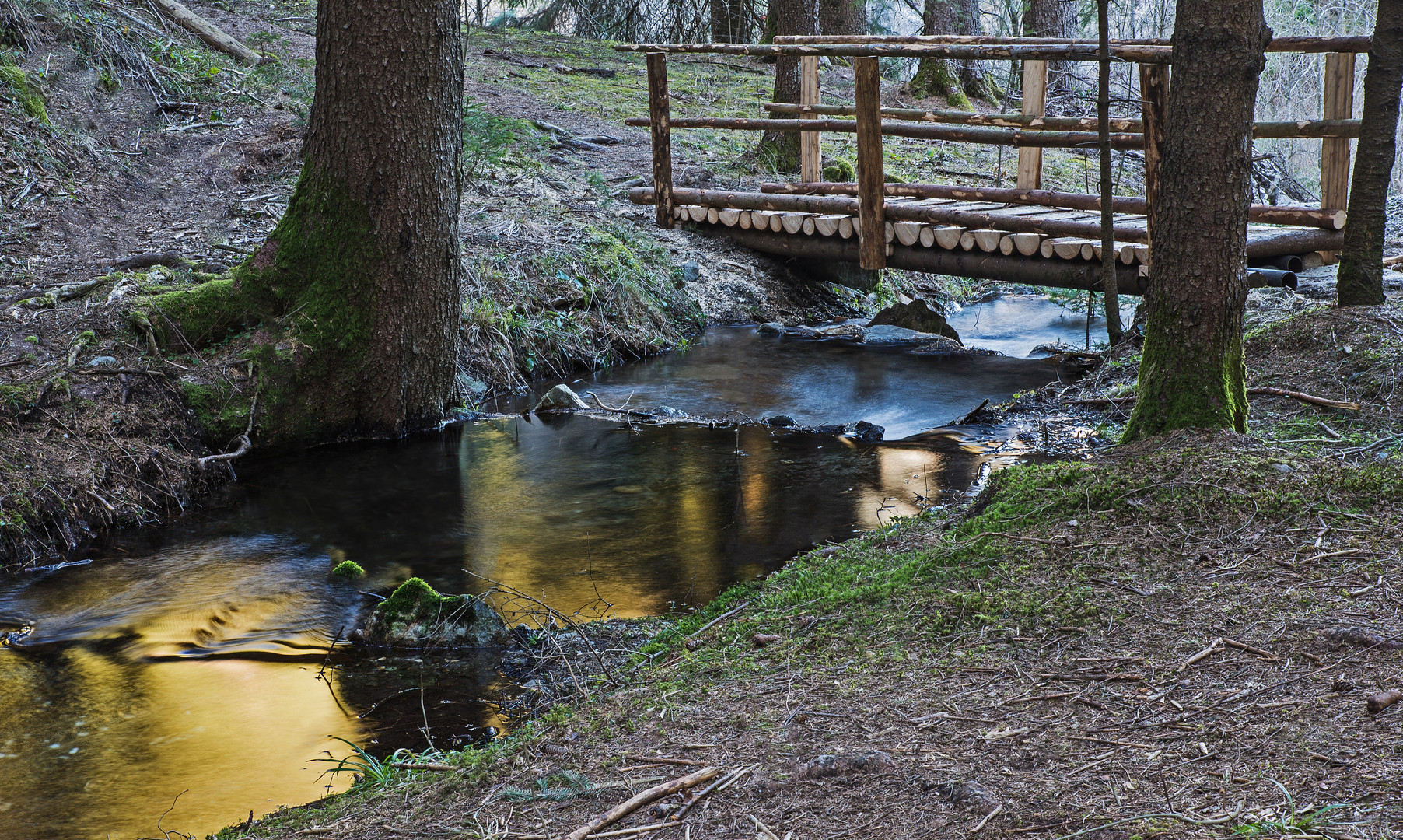 The bridge over the golden water