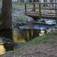 The bridge over the golden water