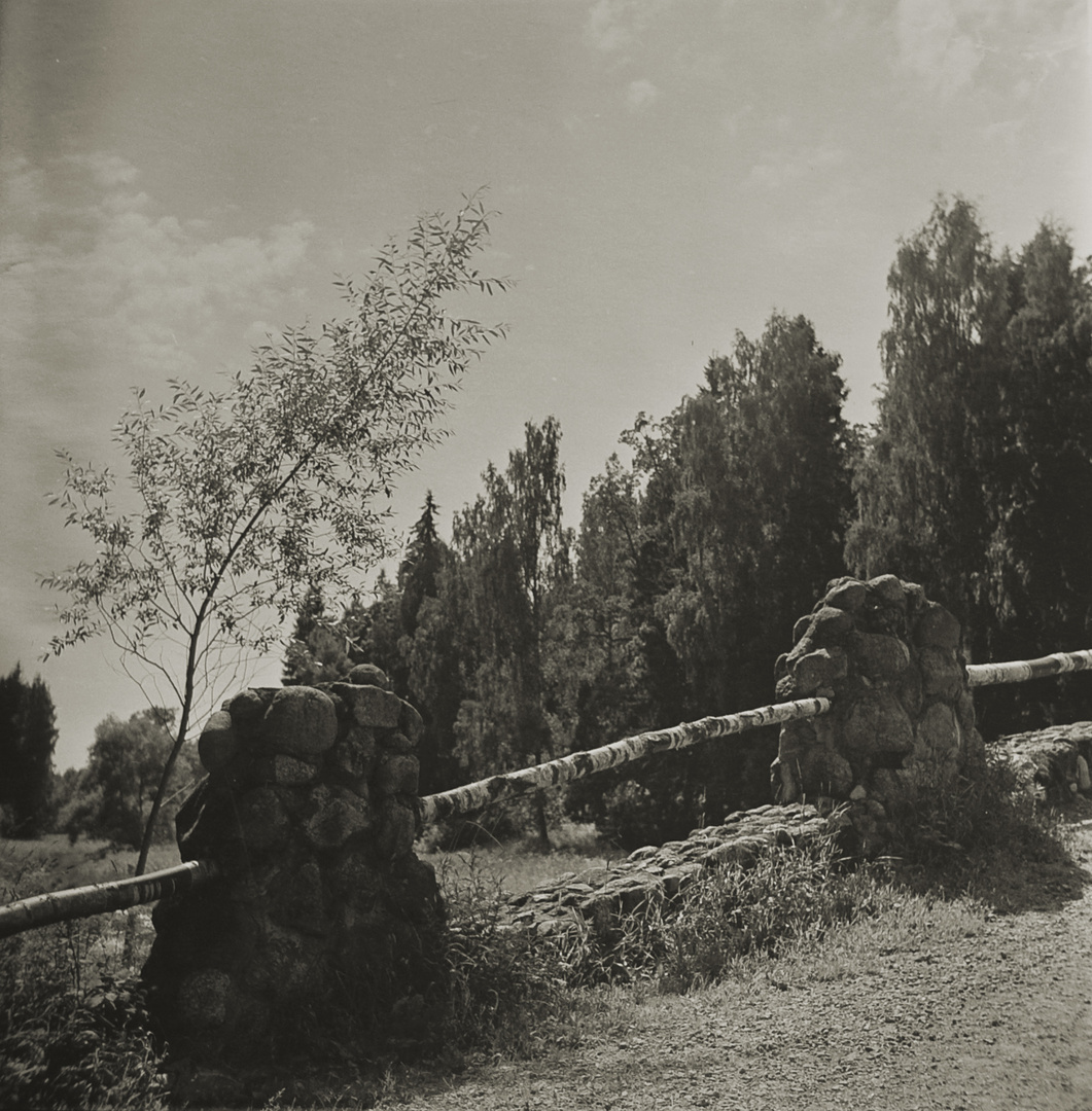 The bridge.Pavlovsk.