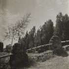 The bridge.Pavlovsk.