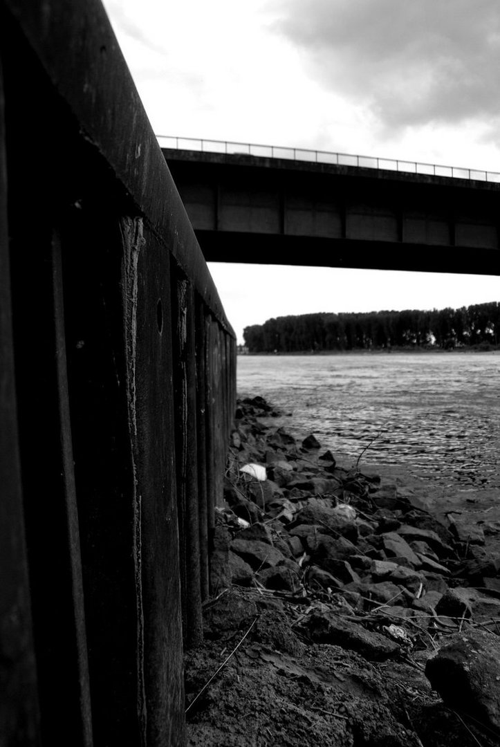 The brige over the neckar