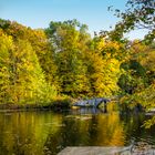 the broken bridge across the pond