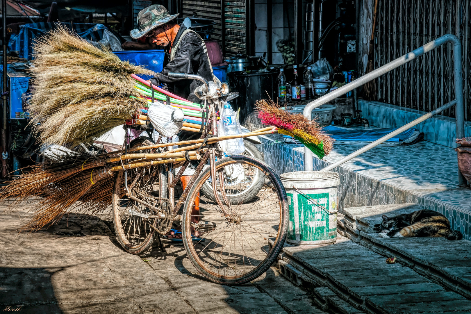 The Broom seller's Cat