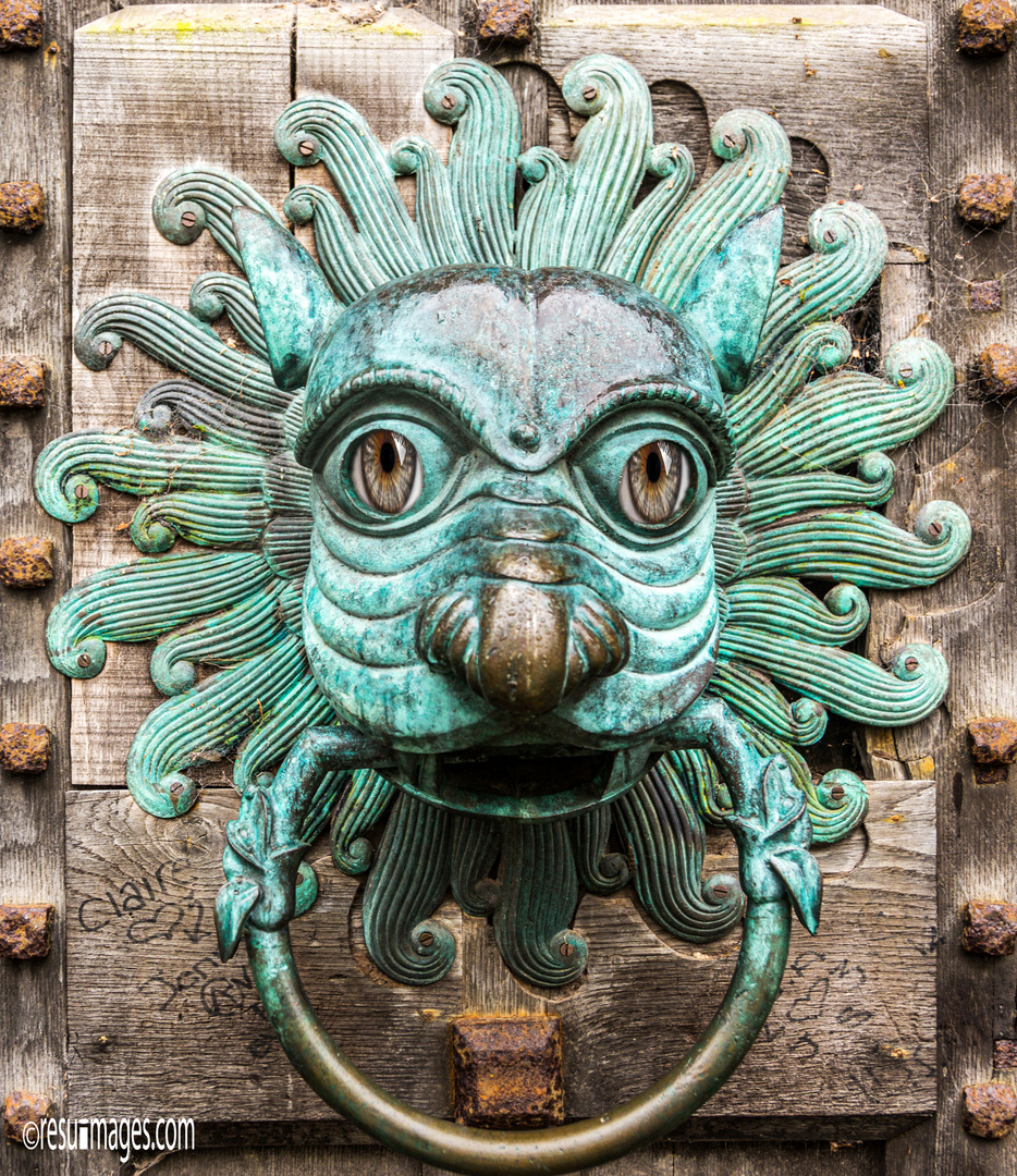 The Brougham Door Knocker