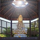 ** The Buddha Sanctuary / Broome WA **