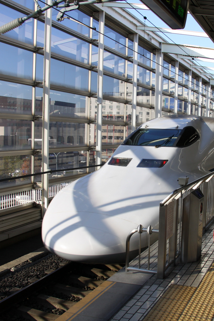 The Bullet Train