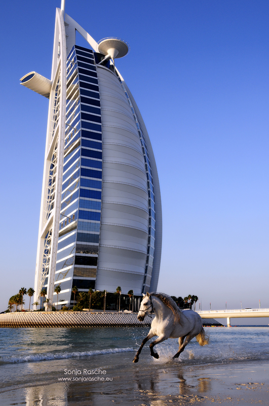 @the Burj Al Arab