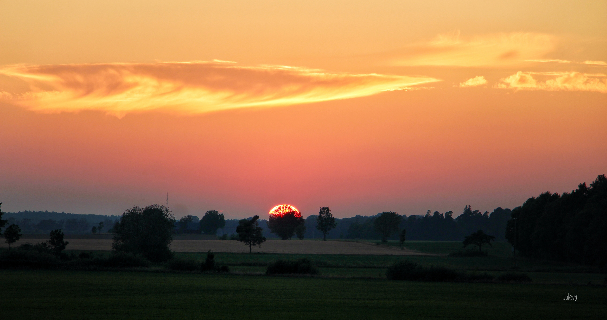 The burning tree