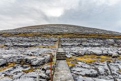 The Burren