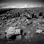 The Burren 1