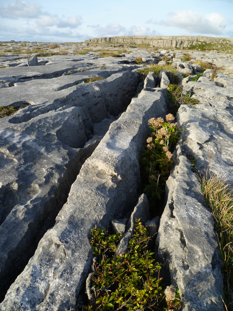 The Burren 2