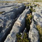 The Burren 2