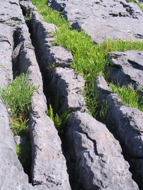 The Burren