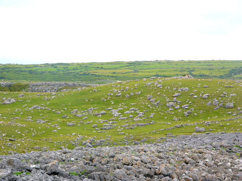 The Burren #4