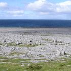 The Burren