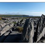 The Burren