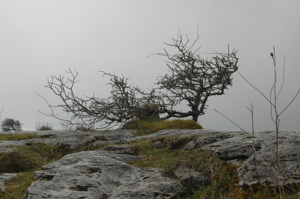 The Burren