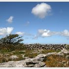 the Burren...