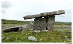 The Burren