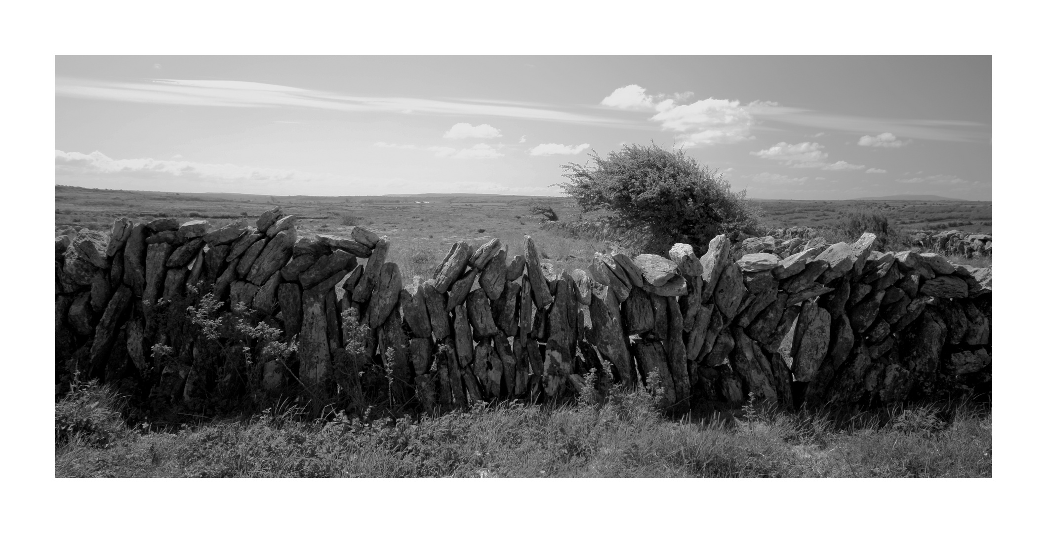 The Burren