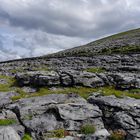 The Burren - Ireland