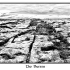 The Burren (Irlanda)