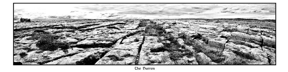 The Burren (Irlanda)